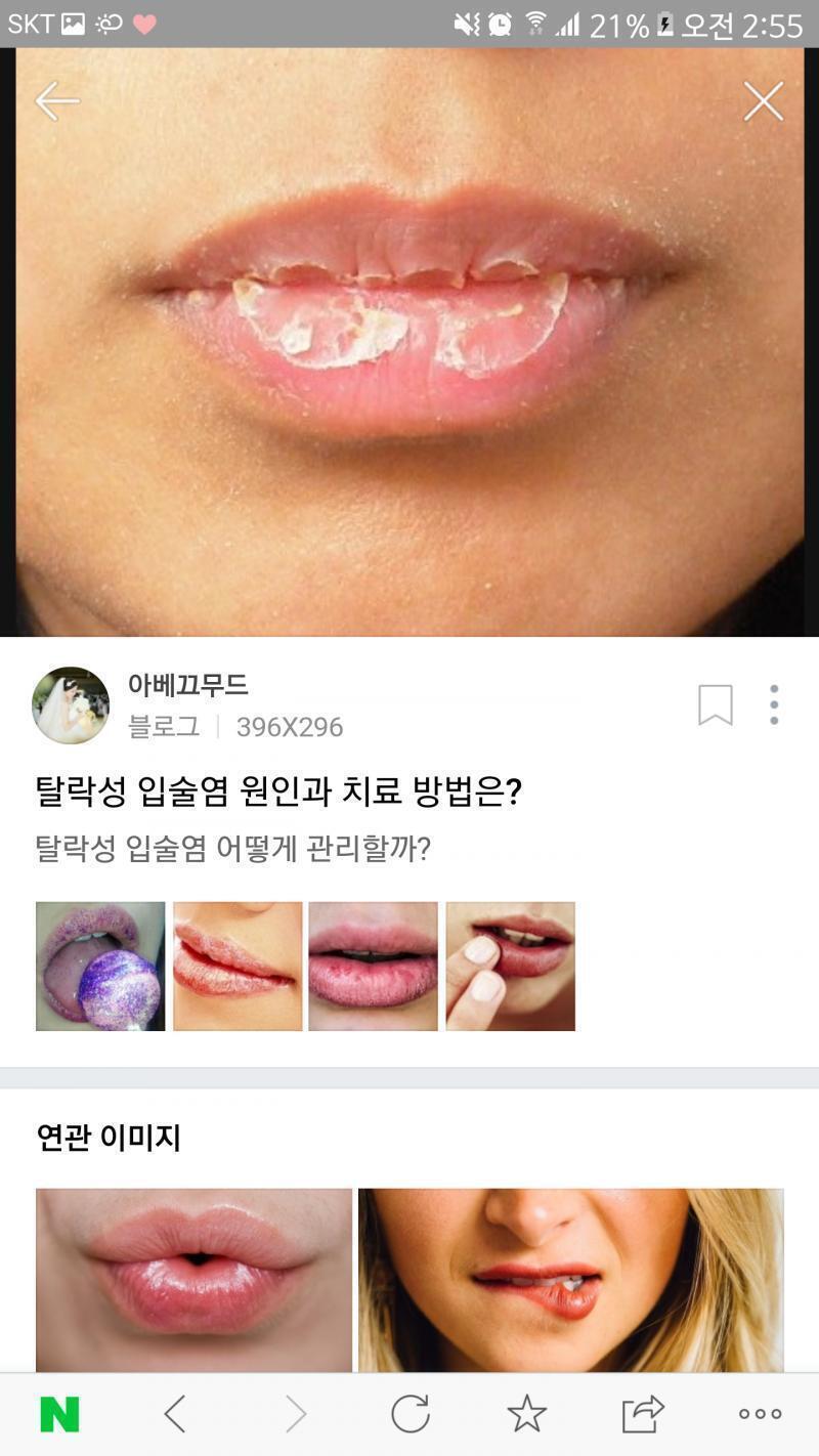 사진은 이거야