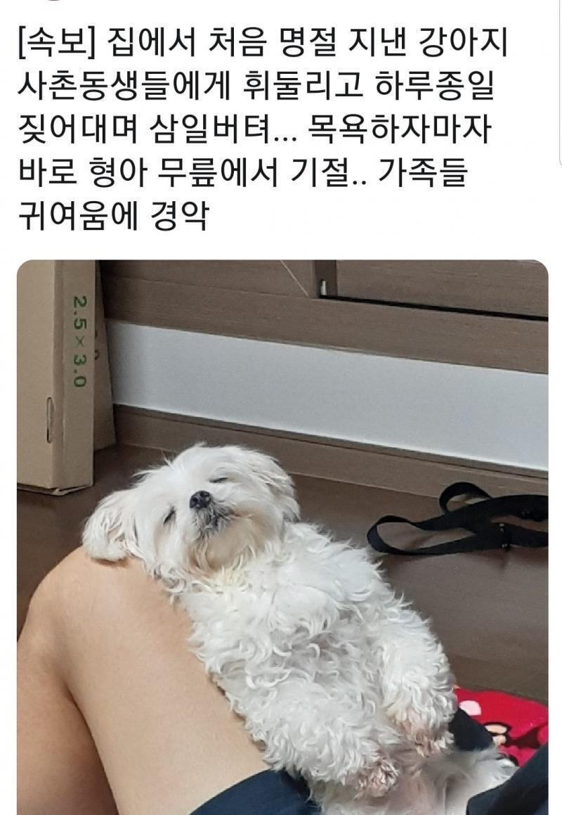 이잉 이제 잠 온다 여러분 저는 먼저 자겠습니다 쫀 꿈 꾸고 조금 이따 봐요 >>사진은 귀여운거 아무거나 고름