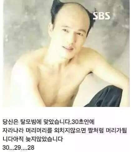 이얍 탈모빔!