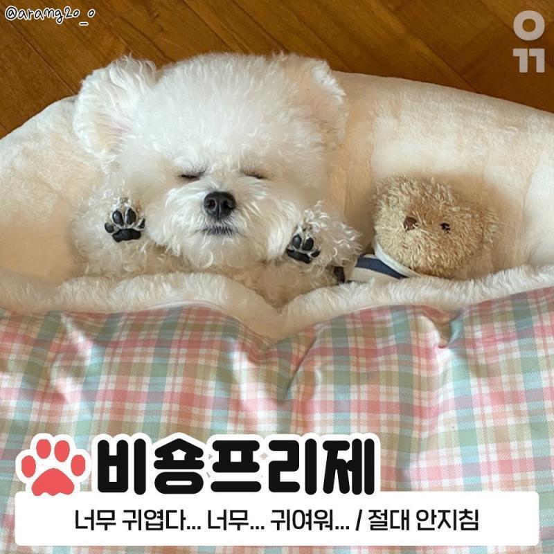귀여워서 바로 저장 ,,