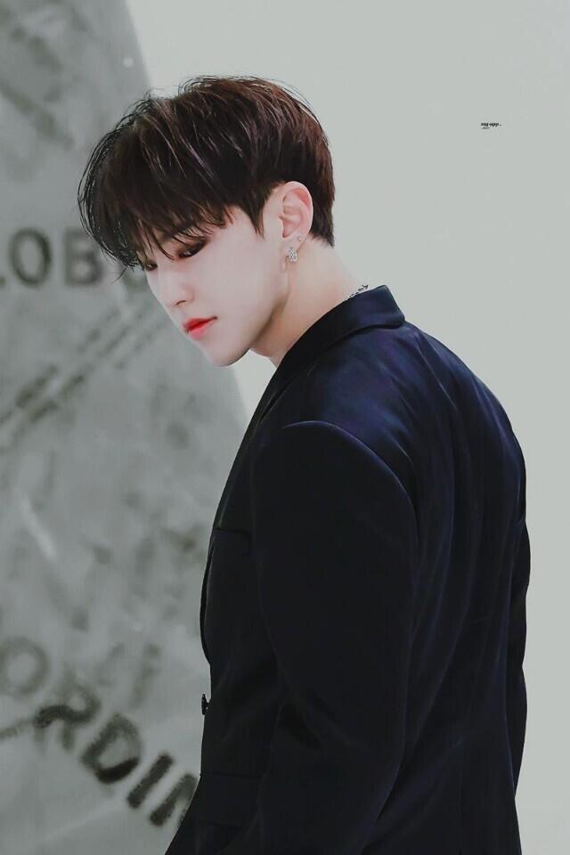 으으아 다들 세븐틴 권순영을 봐 줘 자기가 호랑인 줄 아는 햄스터야 ㅠㅠ 사실 춤 출 땐 호랑이 같은 면이 튀어나오긴 하는데 그래도 주를 이루는