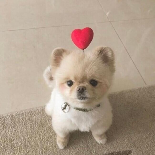 꺄하핳