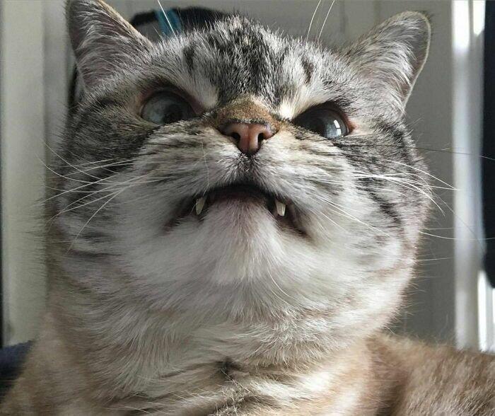 꺄하핳