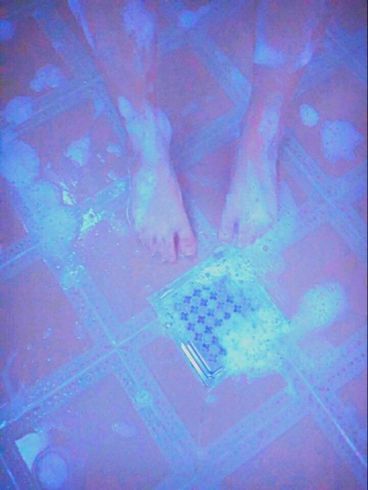 시퍼런 친구도 가져와봤어>