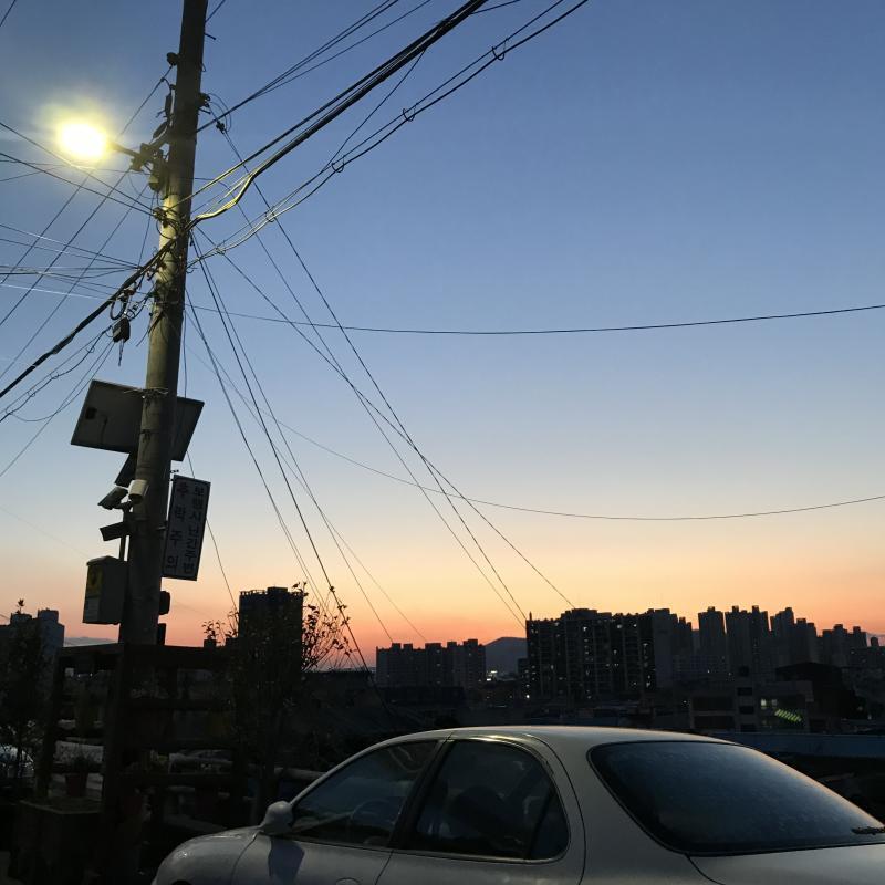 내가 찍은사진이다 케케ㅔ