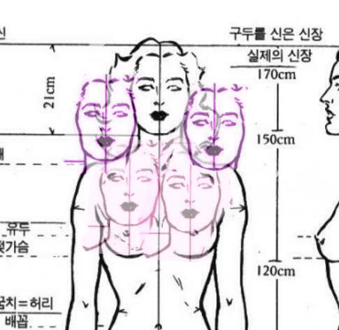 >>51 머리 두개 합쳐놓았단 건 이런 걸 말한거야.... *진한 쪽이 제대로 된 비율, 연하게 흐린 쪽이 스레주가 그린 비율