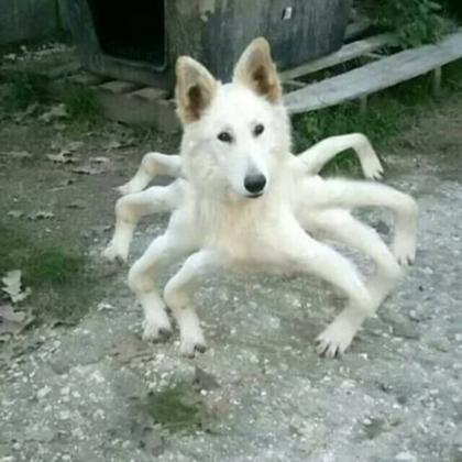 터벅터벅터벅터벅