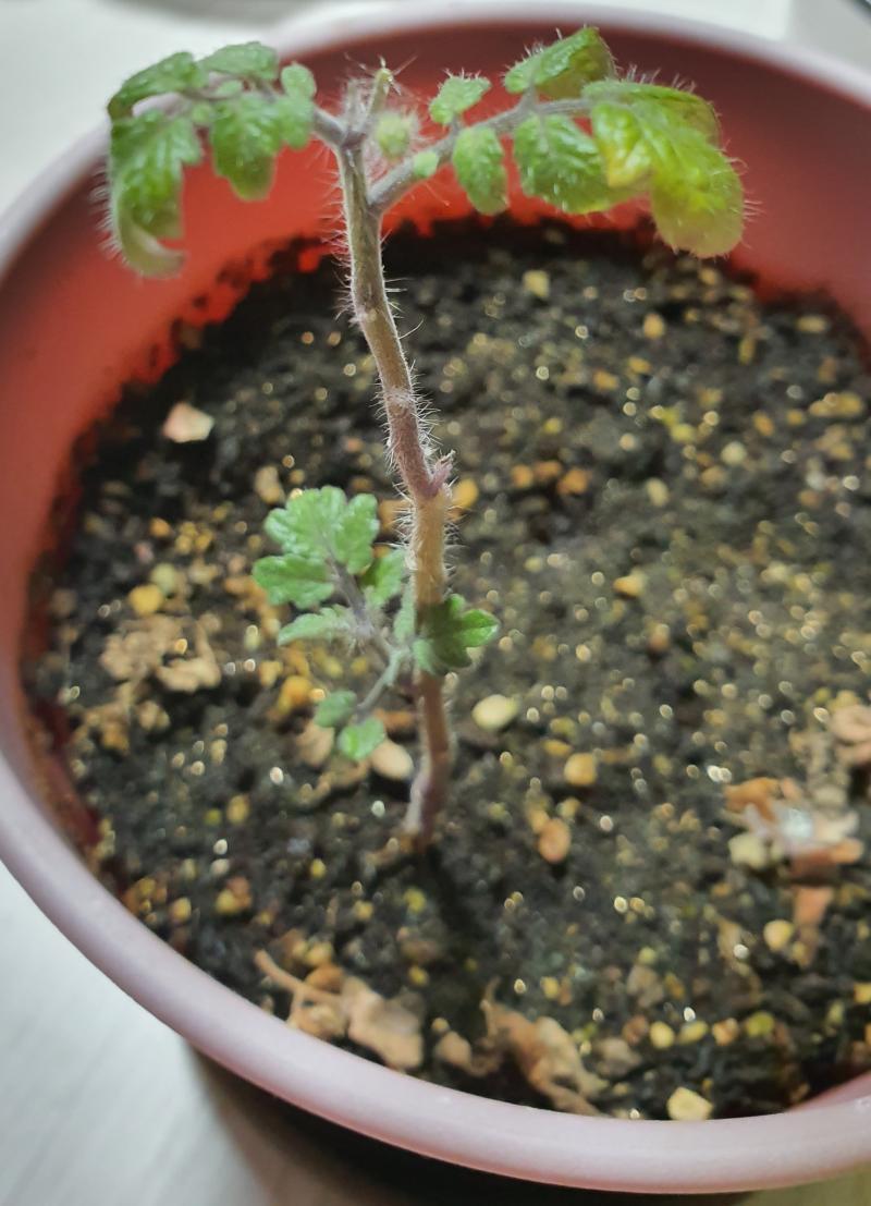방금 찍은거야!