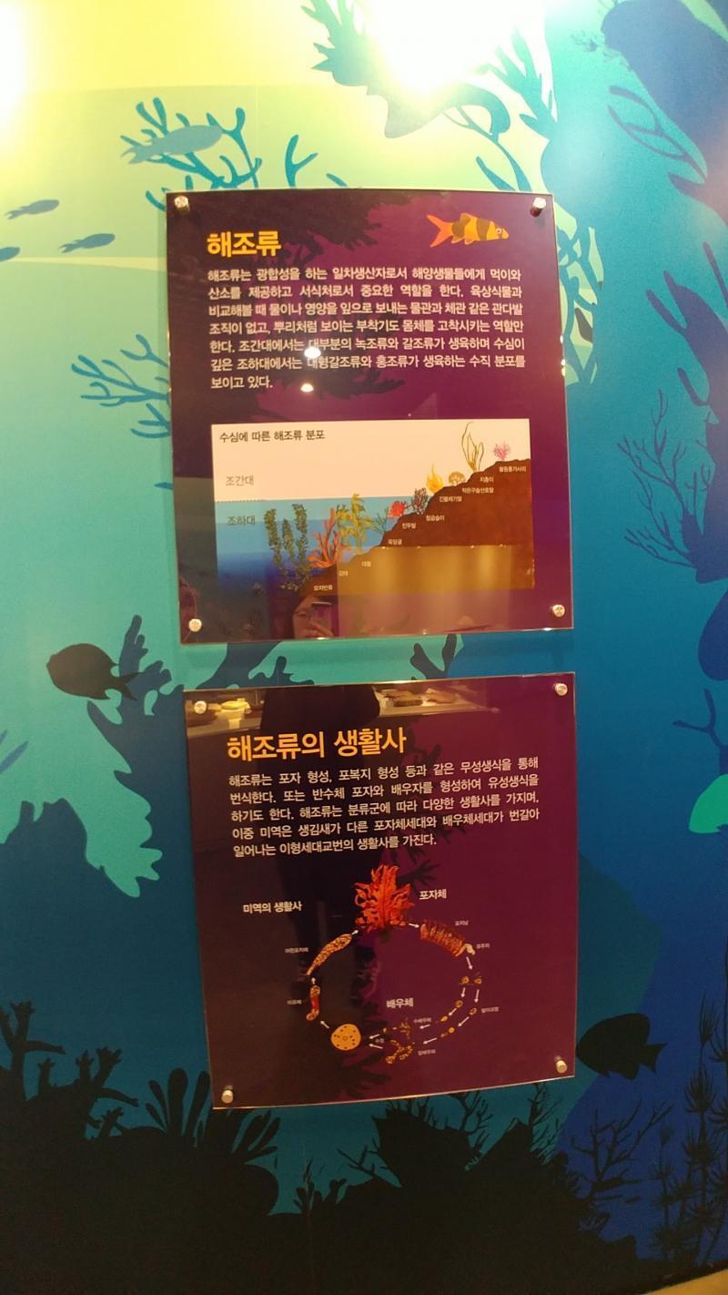 놀러갔다 찍은거