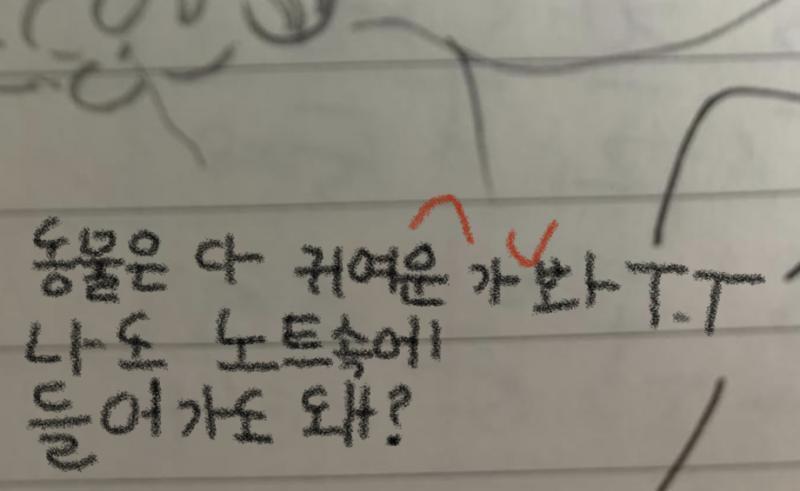 >>18