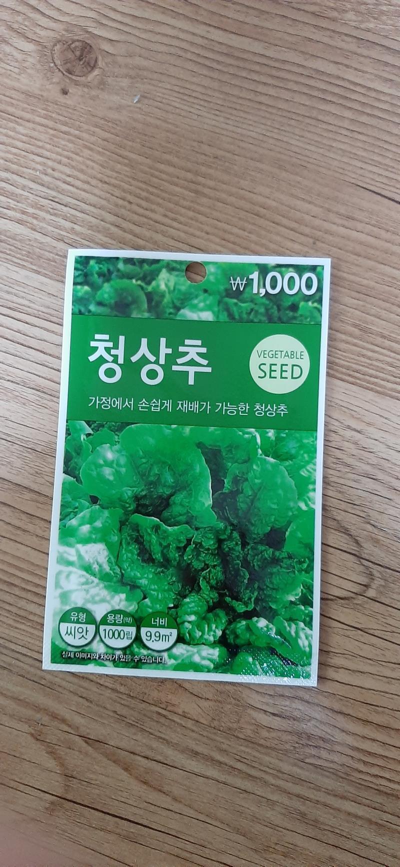 나 상추씨!이제 심을거야