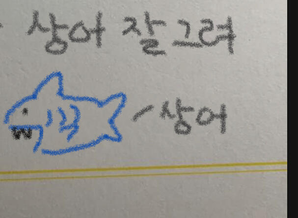 🦈🦈