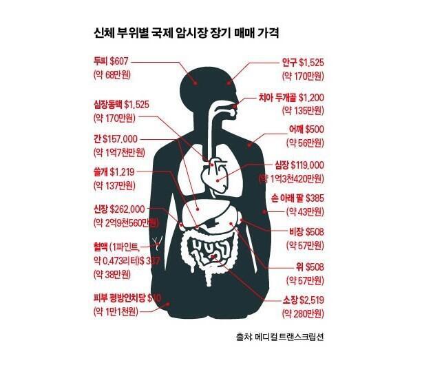 그렇다고 해요. 이래도 배상으로 안 됩니까!