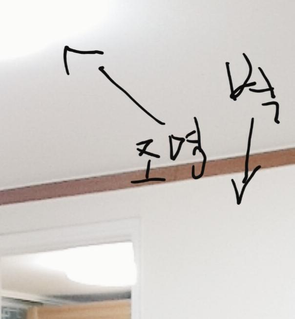 여기서 3차례는 함....명도는 당연히 화면밝기 말고 벽에 딱붙어서 했다가 조명 더 세게 받으려고 점점 가까이 가고.. 나머지는 거실이나 안방에