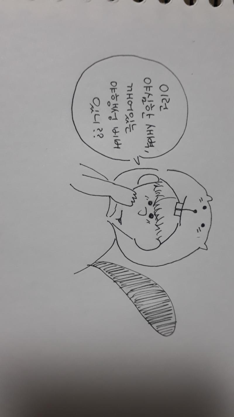 비비빕