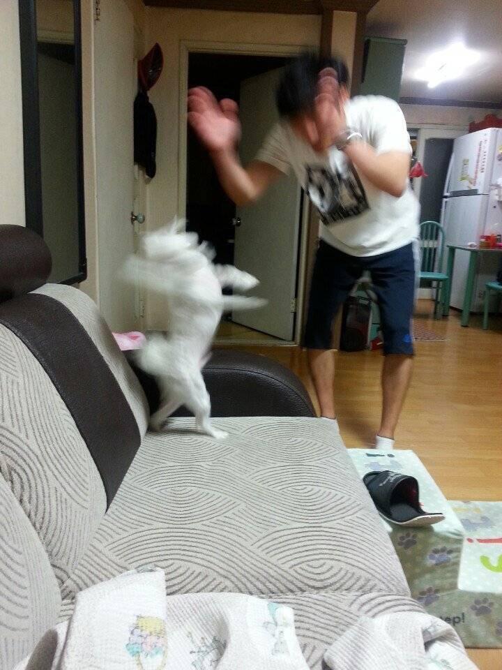 이제와서 보니까 사람들이 다들 스레가 주작인거 알고 스레주한테 맞춰 놀아준거 같애 앞에선 잘한다 잘한다 내새끼 해주고 뒤에서 야 쟤 봤냐?ㅋㅋㅋ