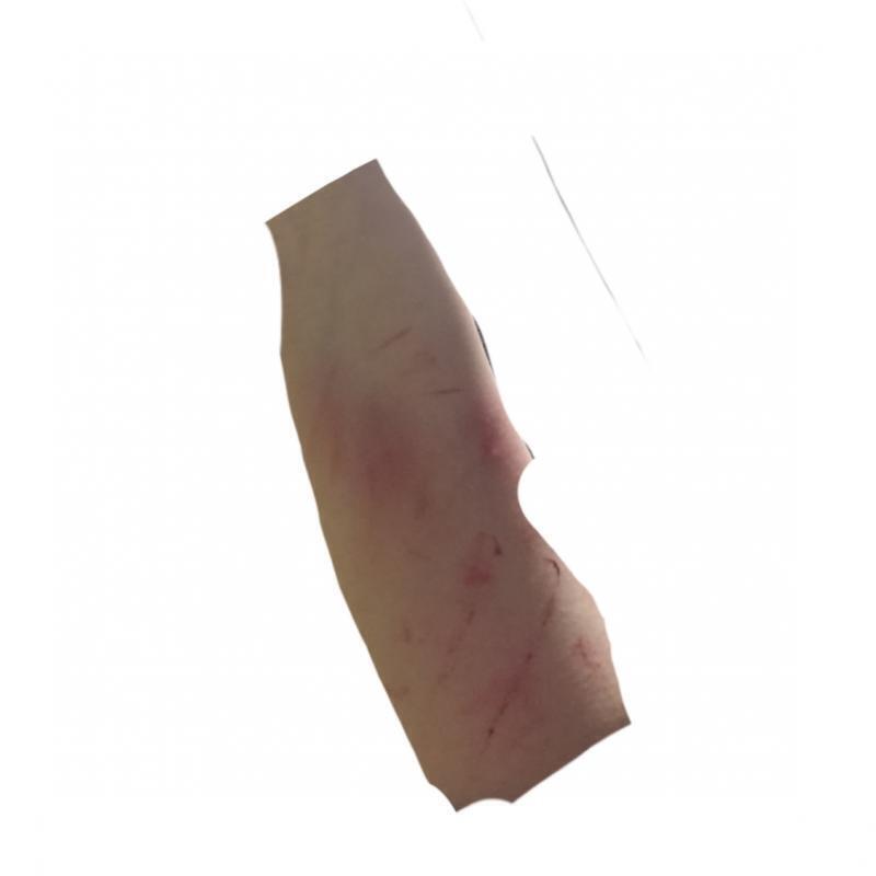 위에는 팔 아래는 다리! 근데 이게 주작이 아닌걸 보여줄 수 있을지가 의문..