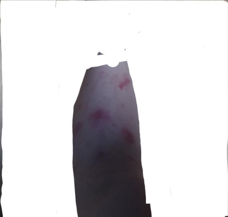 위에는 팔 아래는 다리! 근데 이게 주작이 아닌걸 보여줄 수 있을지가 의문..