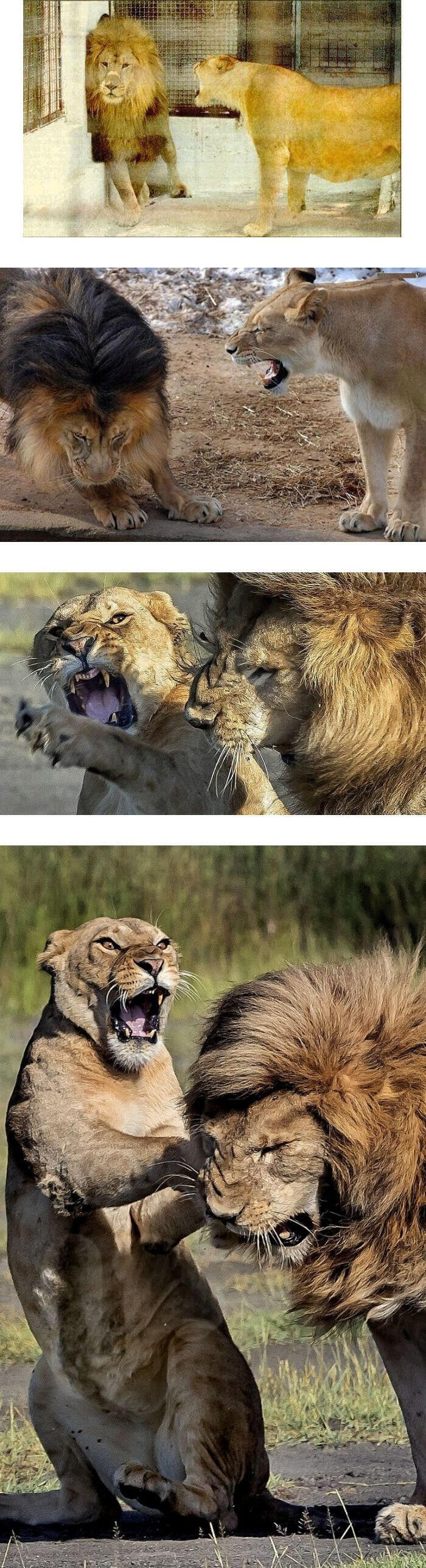 다른판에서 봤던 거