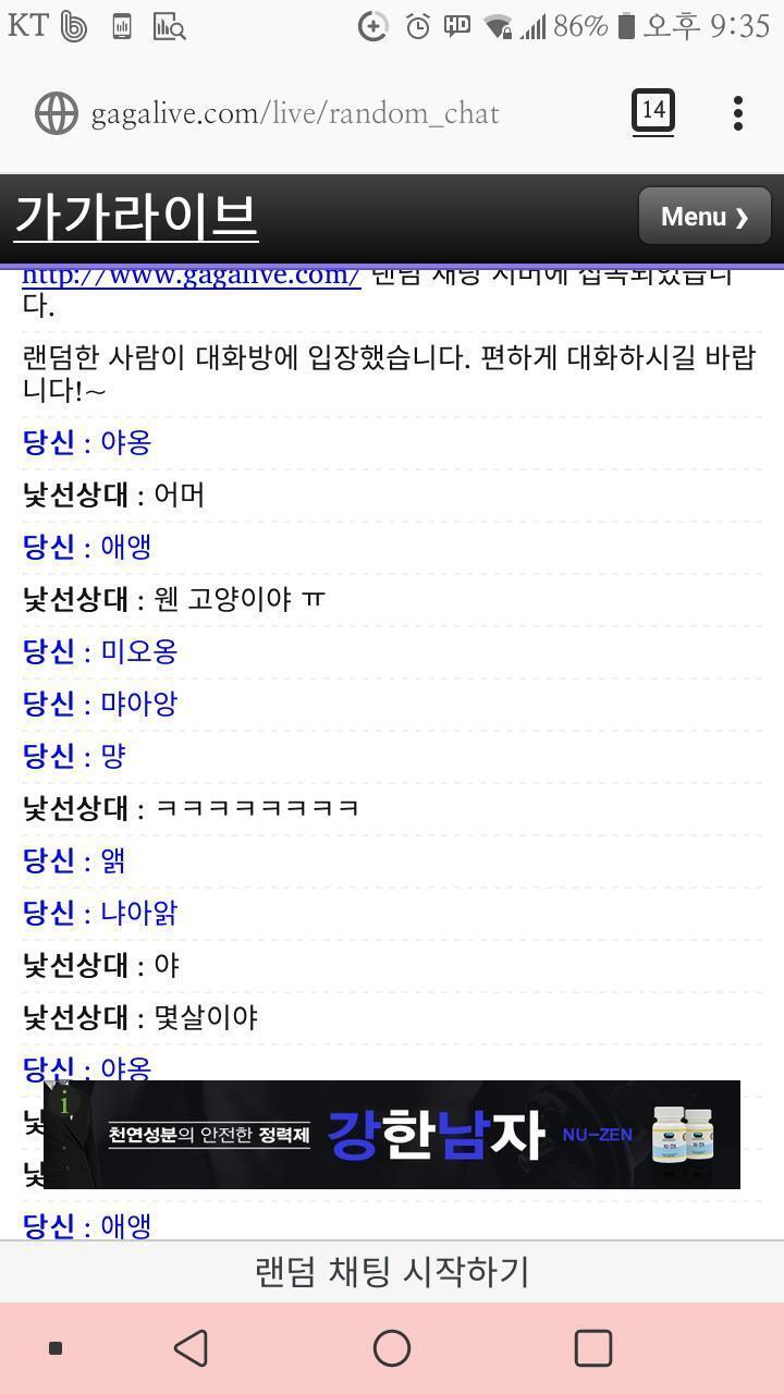 고양이