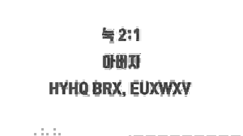 내가 사진능력자 할게