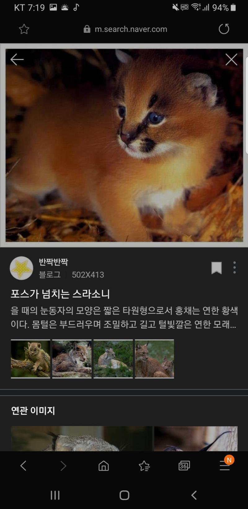 >>3 스라소니 맞아!!!!!드디어 찾았당