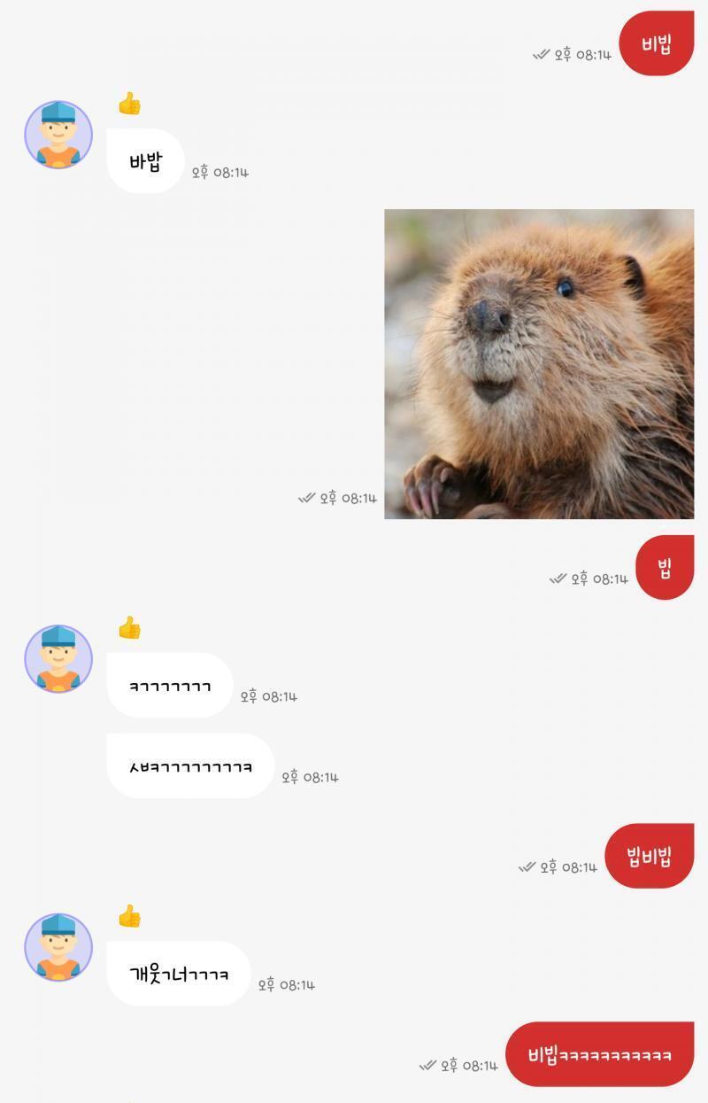 스레주다 이거 꾸준히 갱신되길래 오랜만에 해봄