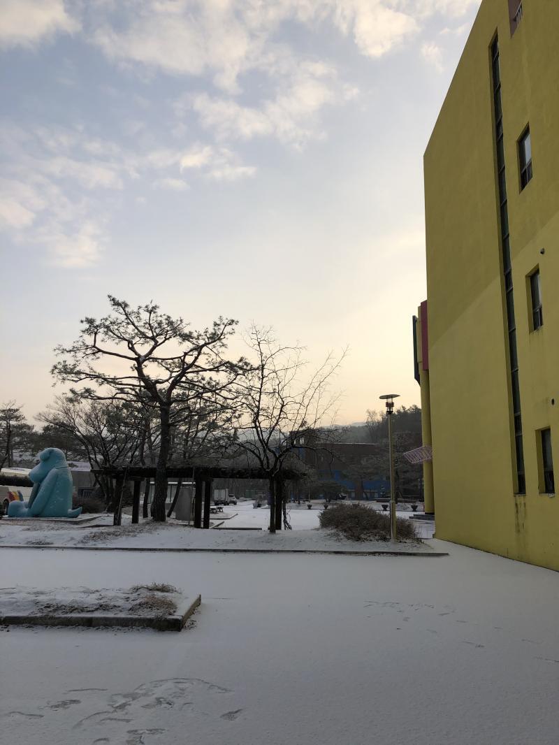 천안 사는데 딱 4번5번 본거같아!