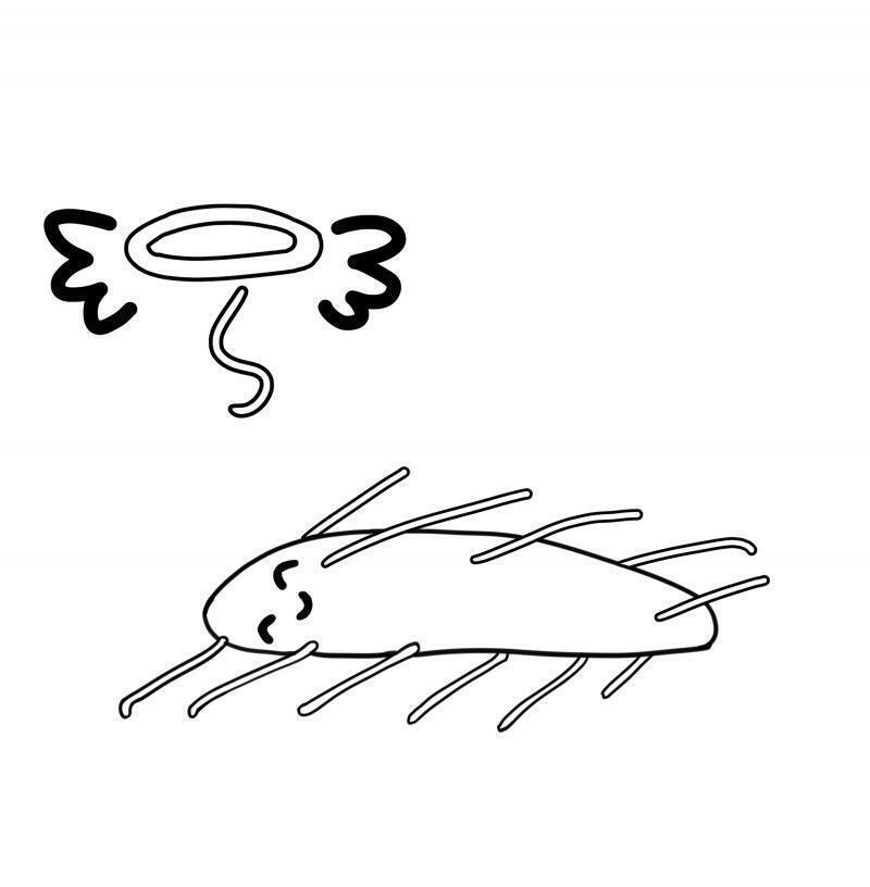 끝