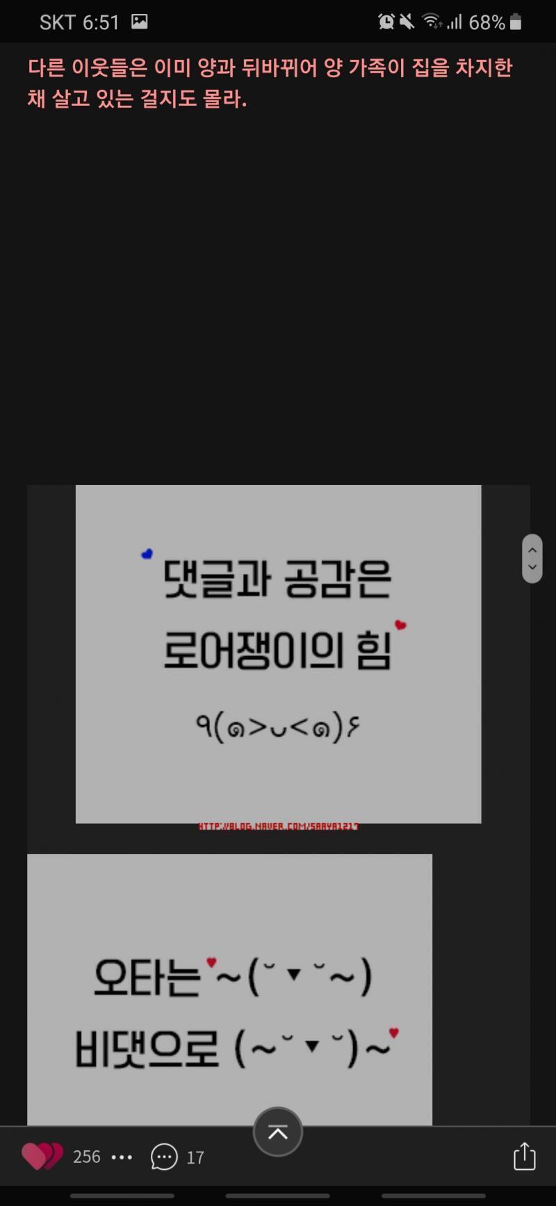 이런 거 풀어줘