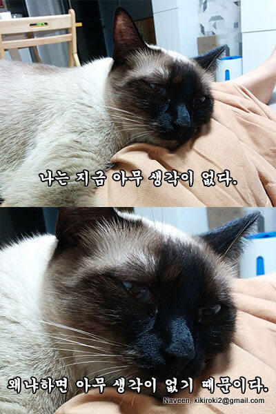오오오