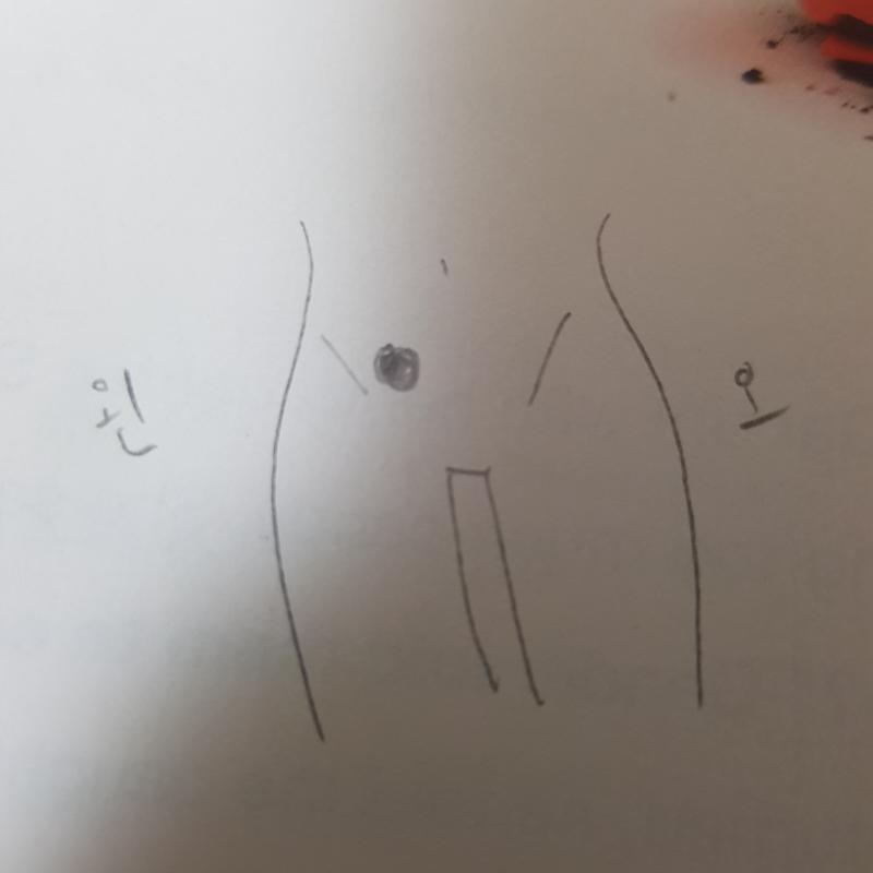 그림