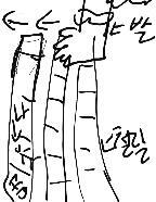 그림 못그리지만 이러케 였어.화살표 쪽으로 걸어갔오