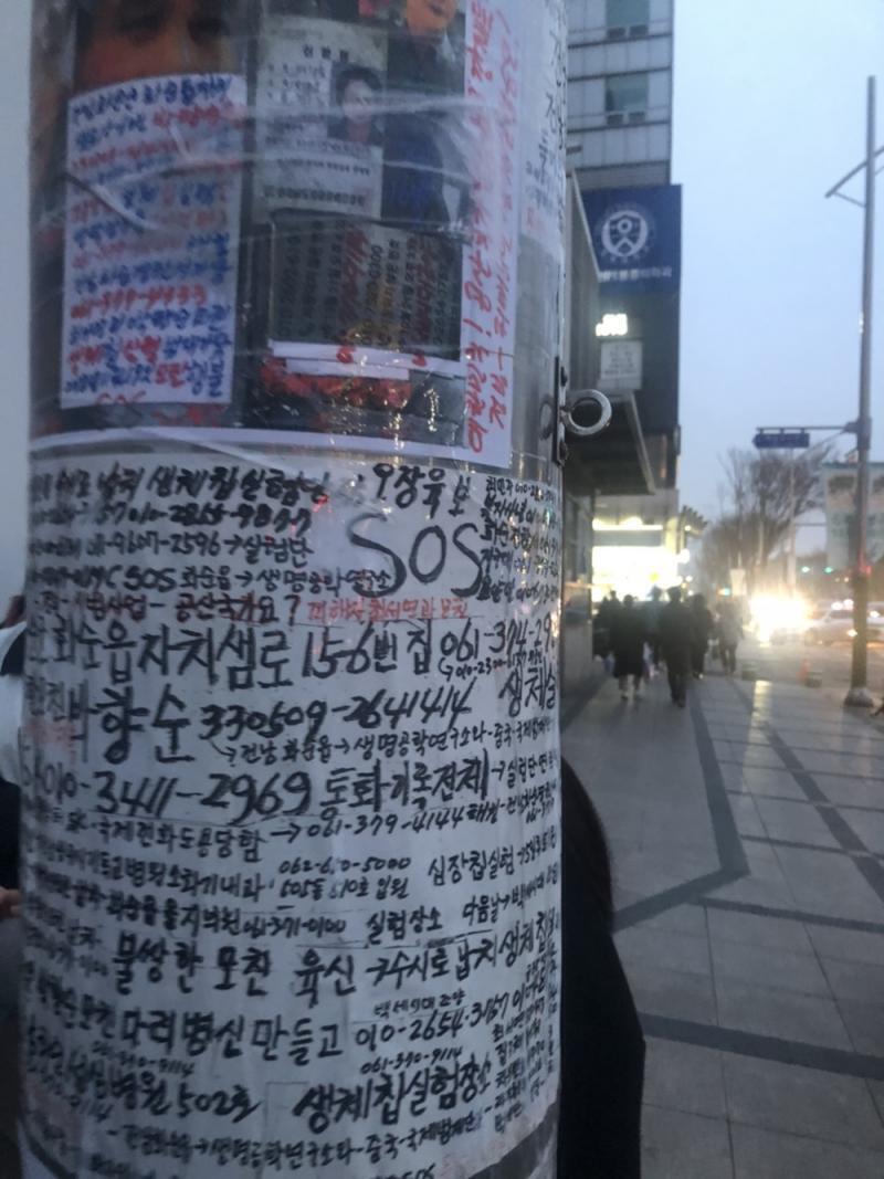 이건 실제로 내가 본 사진