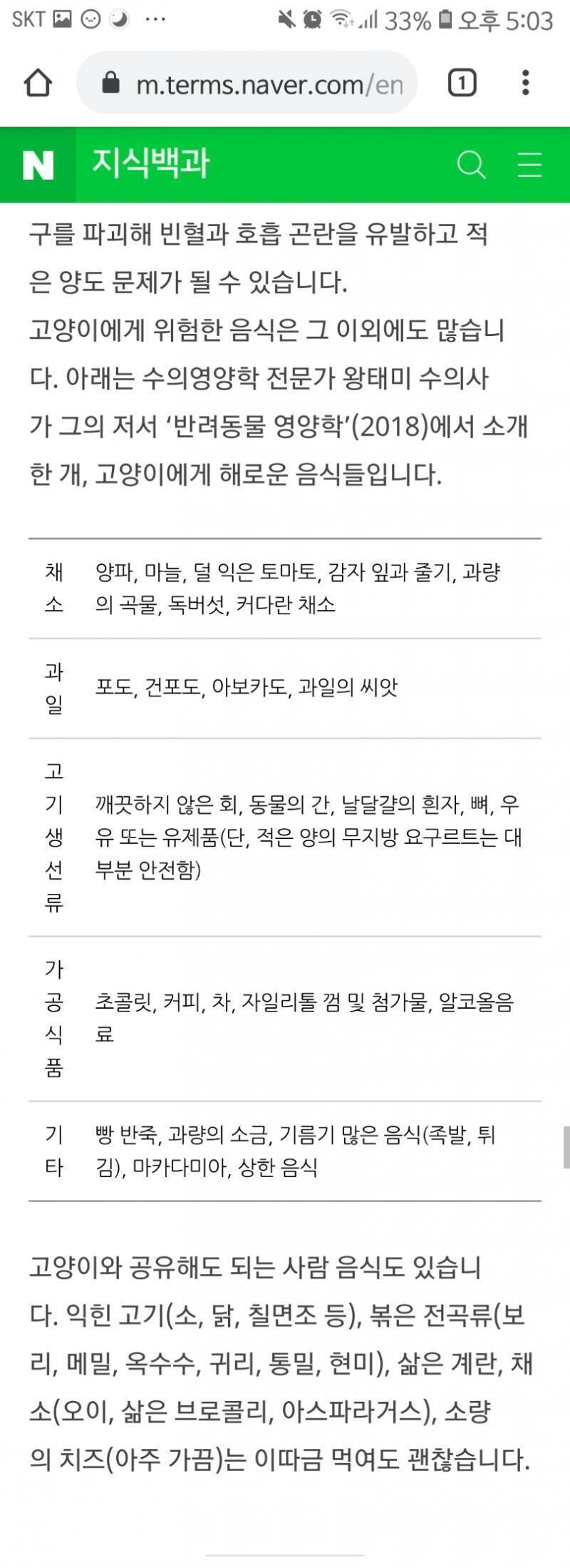 고양이가 먹으면 안 되는 음식