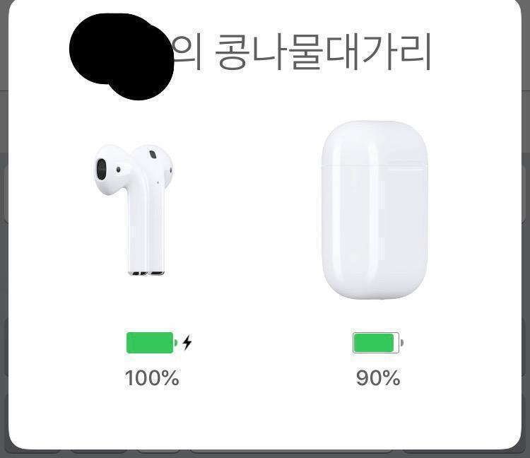 콩나물머가리~