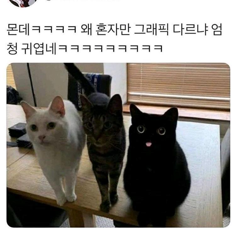 하하하하하하