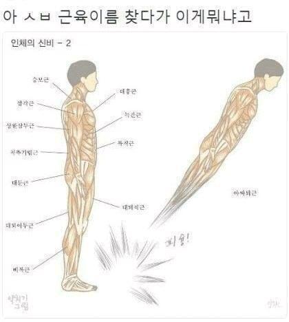 하하