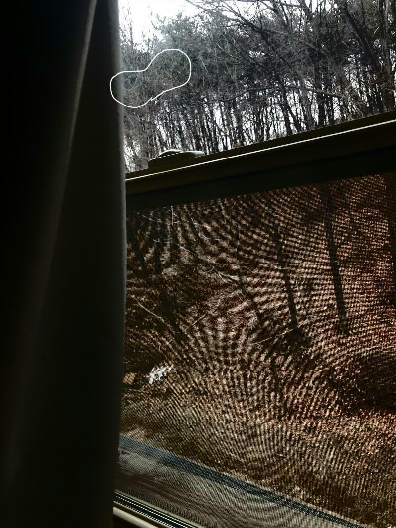 약간 사람 눈 같은 게 보이기는 하는데 그냥 착각 같음 레주 너무 무서워하지마! 사람이 매달려있다는 거 솔직히 어그로 같으니까 너무 겁먹지 말고