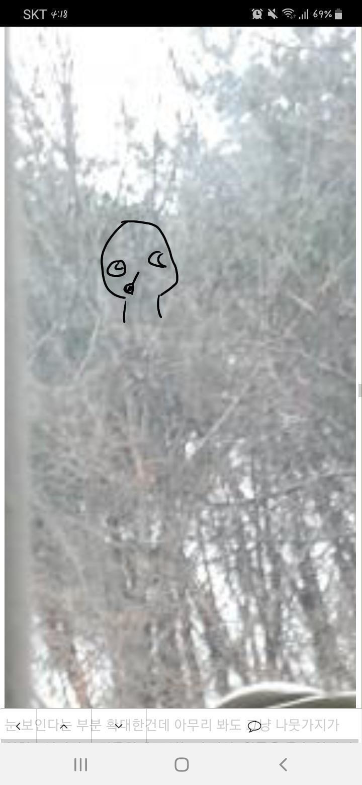 얘들아 미안해! 나는 뭔가 이런 느낌으로 보이는데 나만 그런건지 모르겠어ㅠㅠㅠ 나뭇가지때문인거 같기도 해..!!