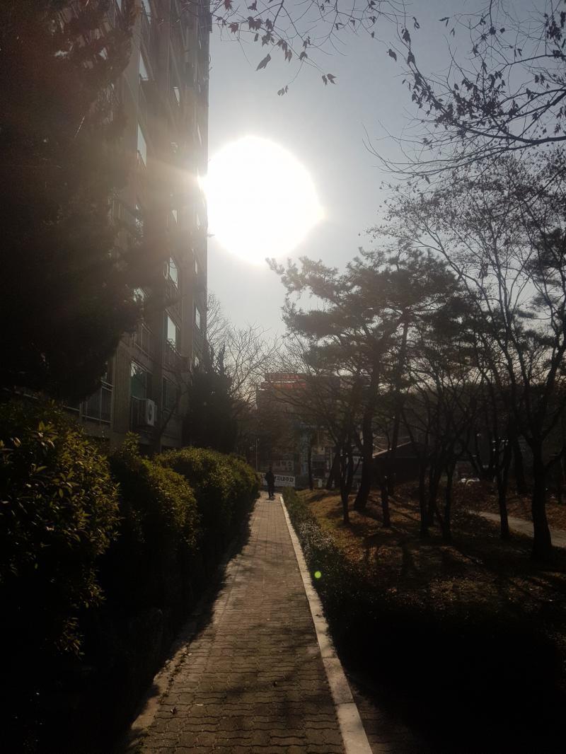 와 미친 얼마만에 햇빛을 보는 건지 모르겠다