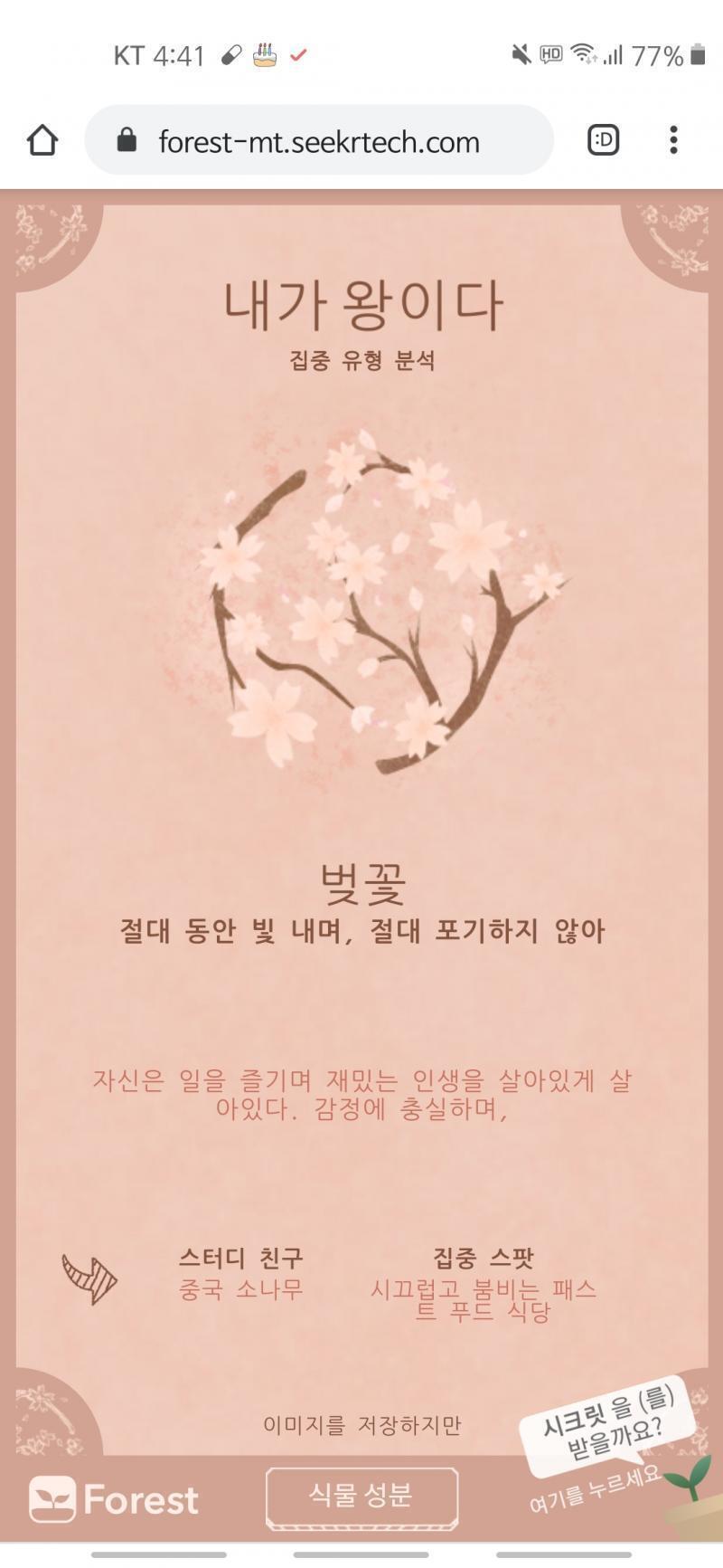벚꽃이당