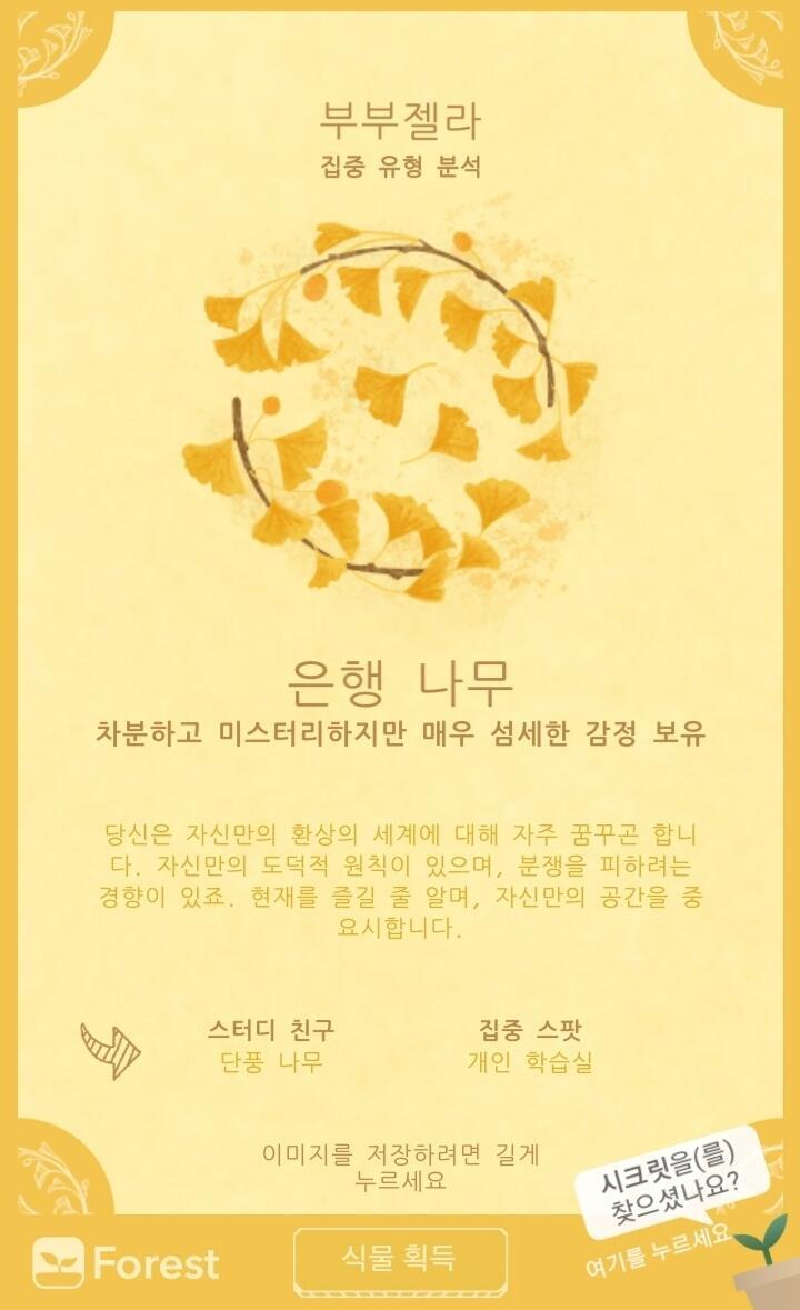 오 은행나무 나옴