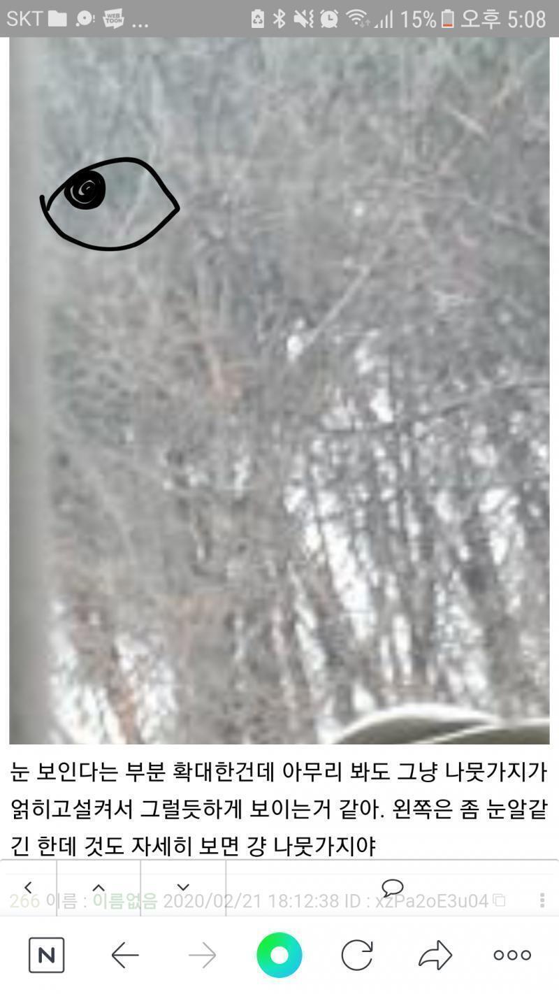 않이 미안한데 레더들아 이거 나만 보여?...