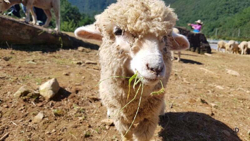 >>38 메에에에에ㅔ에엥ㅇ >>37 동이 틀때까지 같이 노는거야ㅑ