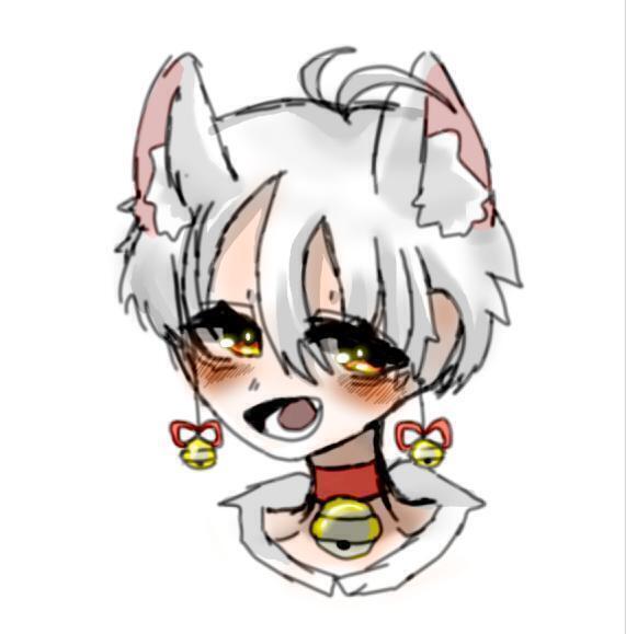 호잇