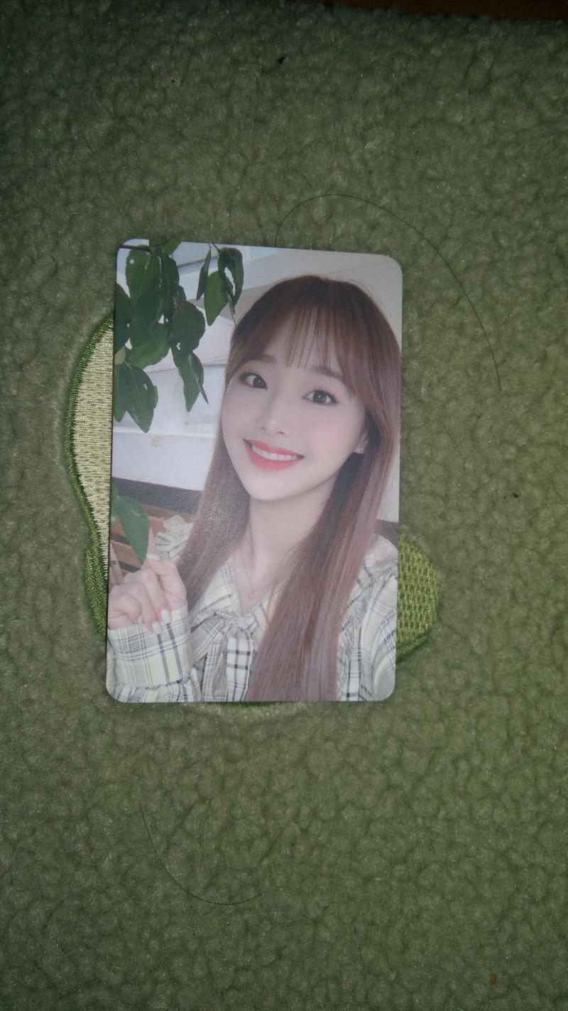 츄 포카왔다