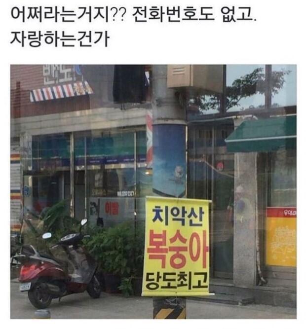 이짤 생각나네