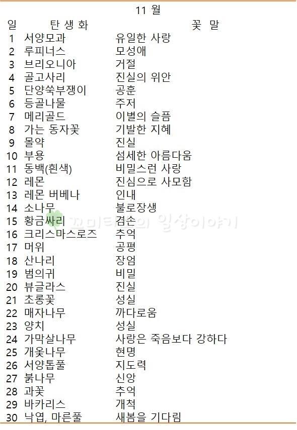 11월