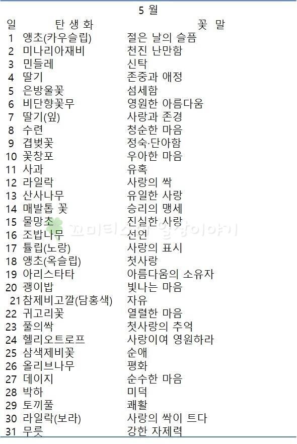 5월